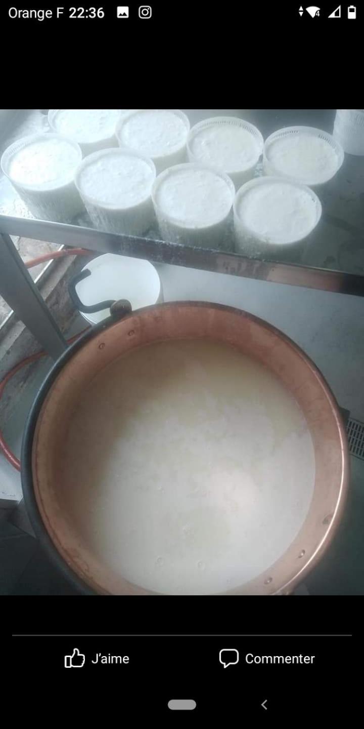 Moita U Mulinu 아파트 외부 사진